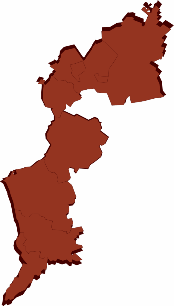 Abstrakte Vektordarstellung des Bundeslandes Burgenland mit klar erkennbaren Bezirksgrenzen