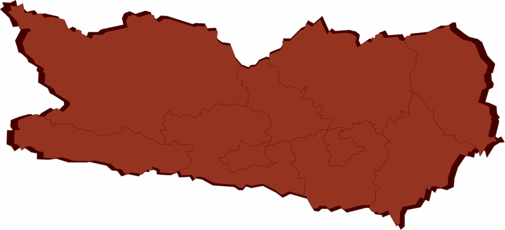 Abstrakte Vektordarstellung des Bundeslandes Kärnten mit klar erkennbaren Bezirksgrenzen