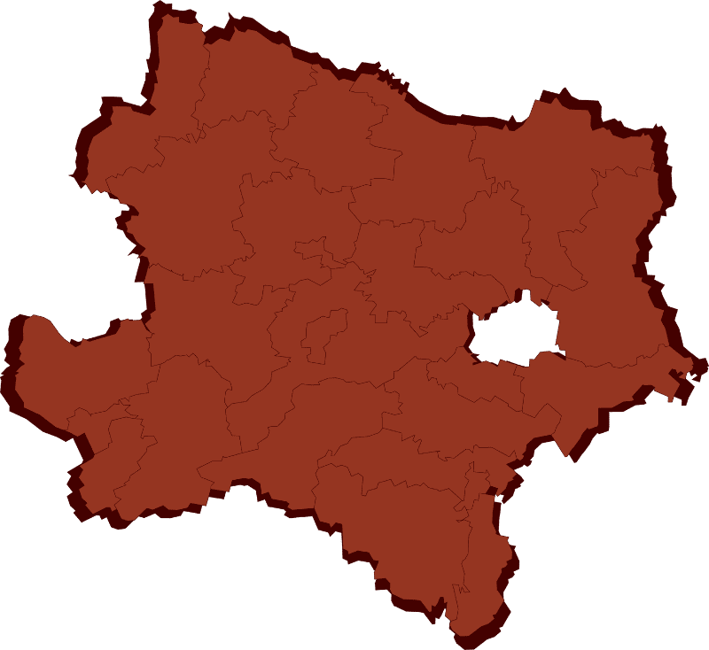 Abstrakte Vektordarstellung des Bundeslandes Niederösterreich mit klar erkennbaren Bezirksgrenzen.