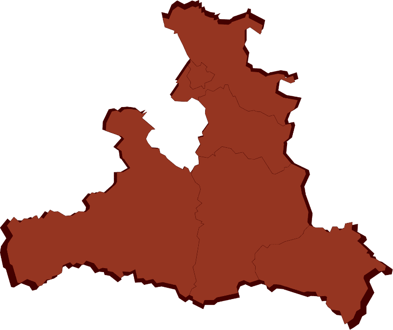 Abstrakte Vektordarstellung des Bundeslandes Salzburg mit klar erkennbaren Bezirksgrenzen