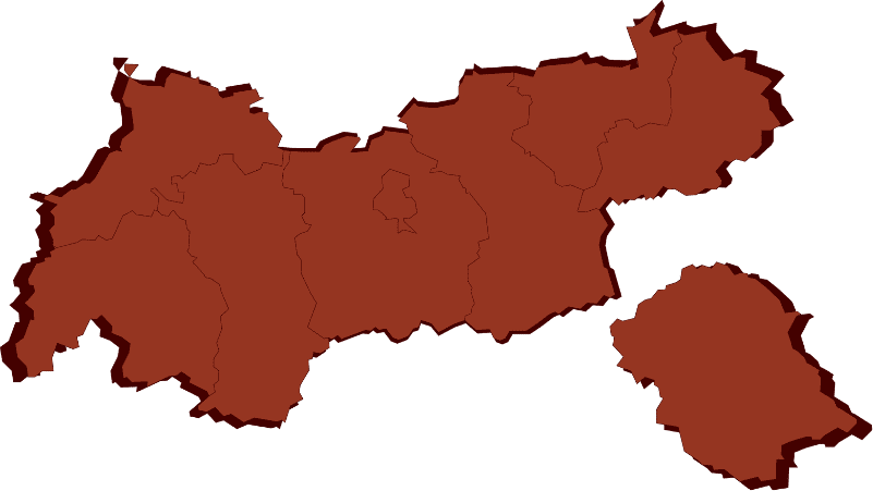 Abstrakte Vektordarstellung des Bundeslandes Tirol mit klar erkennbaren Bezirksgrenzen