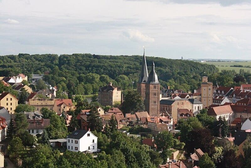 Blick über Altenburgs Altstadt mit Doppelturm-Kirche und umliegenden Häusern im Sommergrün.