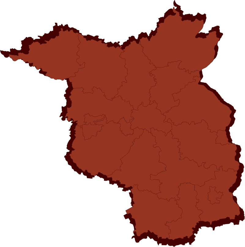 Abstrakte Vektordarstellung des Bundeslandes Brandenburg mit klar erkennbaren Grenzen