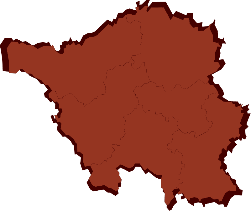 Abstrakte Vektordarstellung des Bundeslandes Saarland mit klar erkennbaren Grenzen