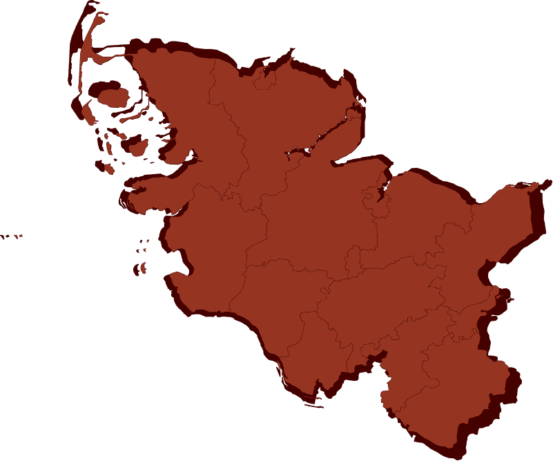 Abstrakte Vektordarstellung des Bundeslandes Schleswig-Holstein mit klar erkennbaren Grenzen
