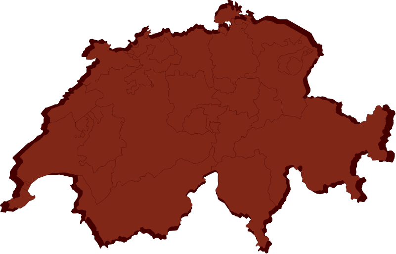 Abstrakte Vektordarstellung der Schweiz mit klar erkennbaren Kantonen
