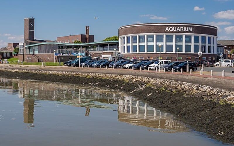 Aquarium-Gebäude an der Uferpromenade mit parkenden Autos und Spiegelung im Wasser in Wilhelmshaven.